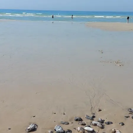A 2min A Pied دْييب